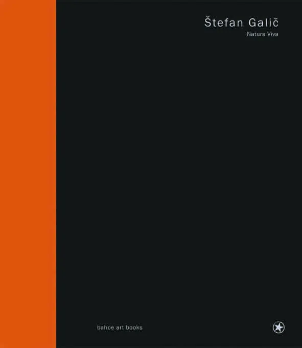 bahoe-books-natura-viva-artbook image 1