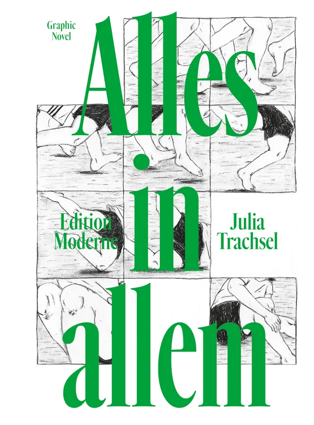 edition-moderne-alles-in-allem-graphic-novel image 1