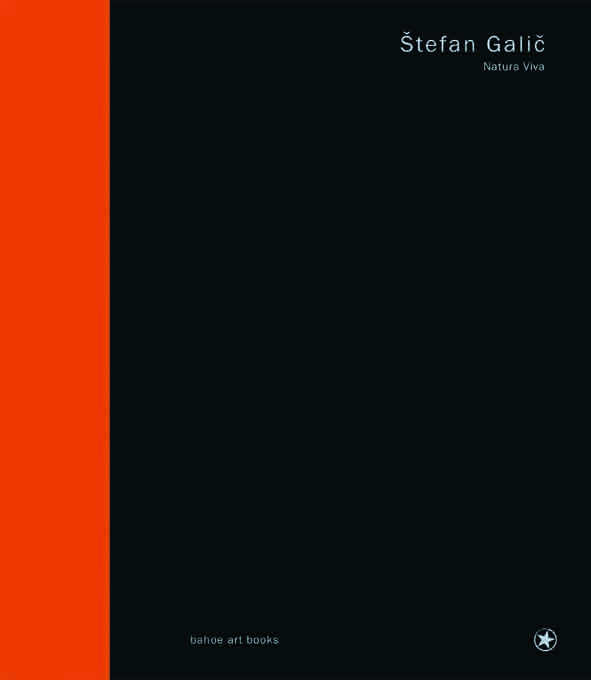 bahoe-books-natura-viva-artbook image 1